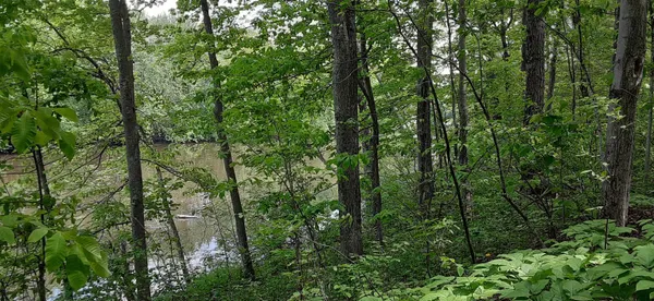 $150,000 | 644 Panton Road, Unit 2, Panton, VT 05491