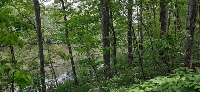 $198,000 | 644 Panton Road, Unit 2, Panton, VT 05491