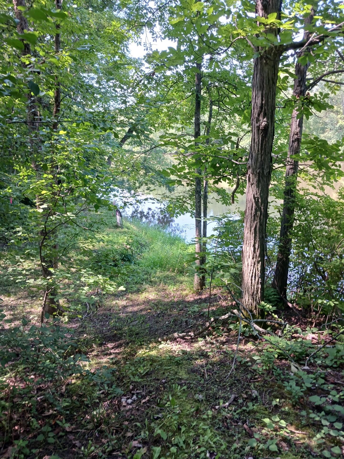 644 Panton Road, Unit 2 Panton, VT 05491 - Photo 20 of 21