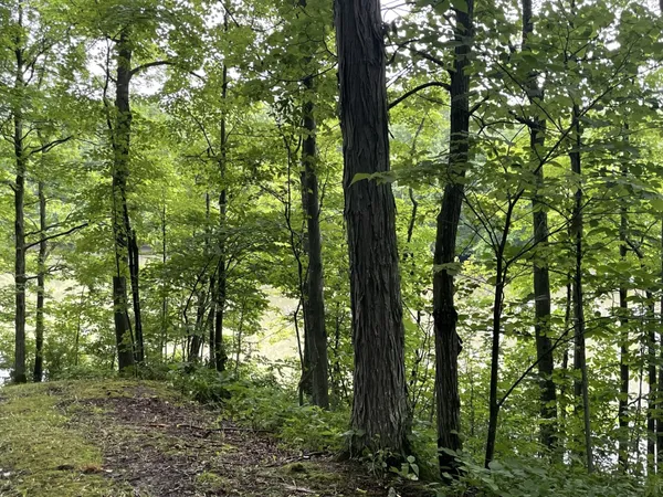 $150,000 | 644 Panton Road, Unit 2, Panton, VT 05491