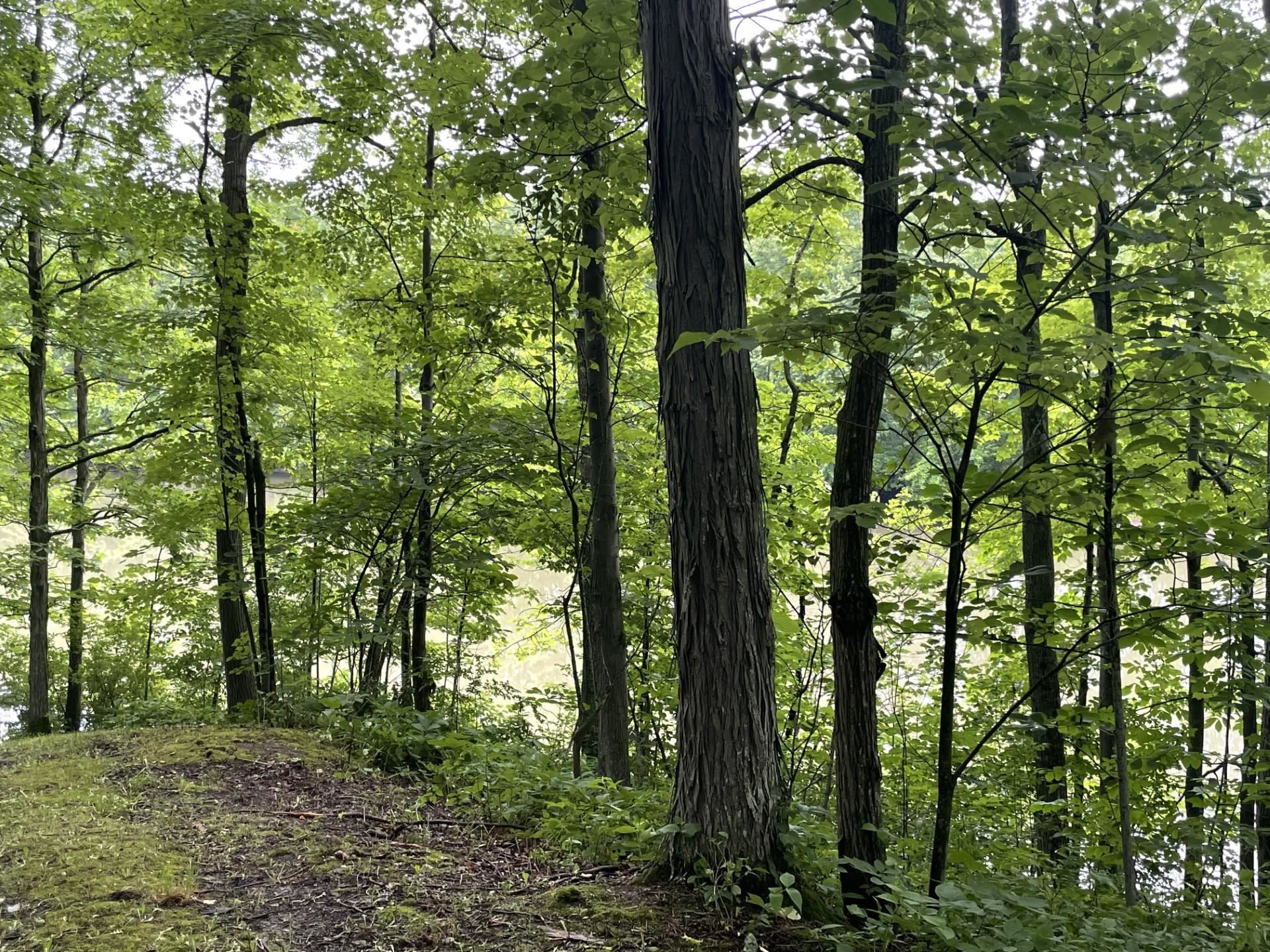 644 Panton Road, Unit 2 Panton, VT 05491 - Photo 5 of 21