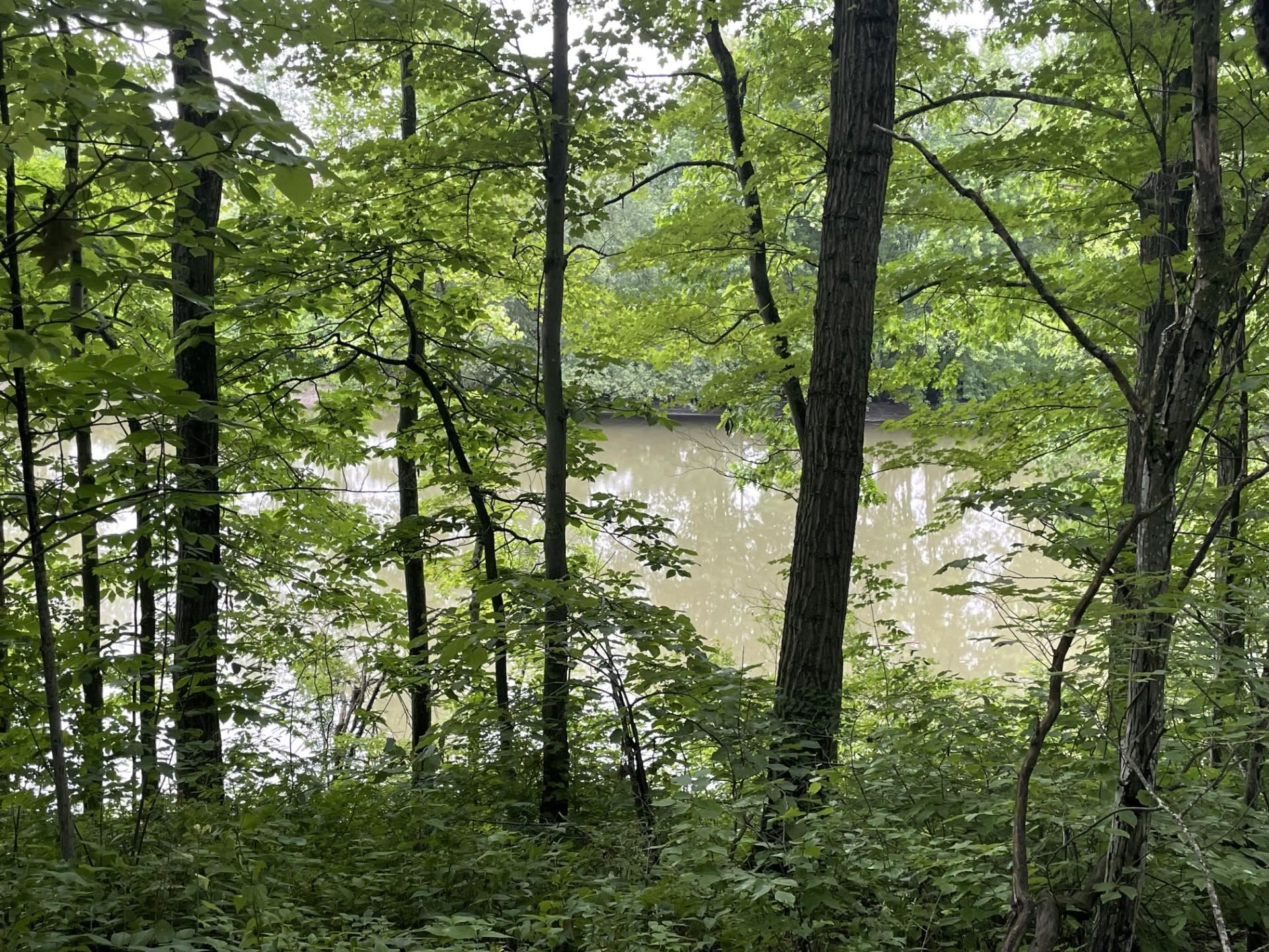 644 Panton Road, Unit 2 Panton, VT 05491 - Photo 6 of 21