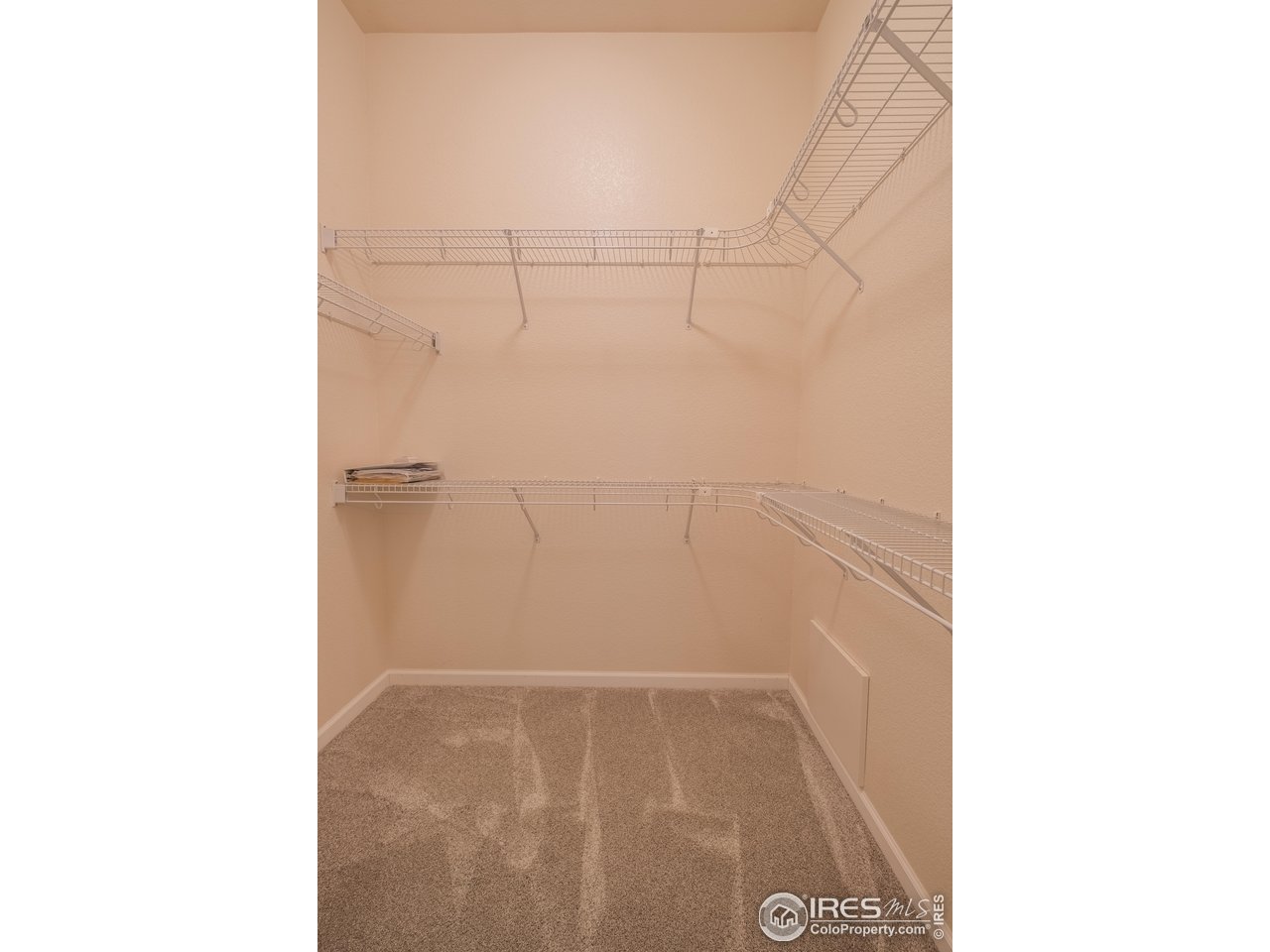 4313 29th Street Road Greeley, CO 80634 - Photo 14 of 31 Generous walk-in closet with extensive built-in wire shelving.