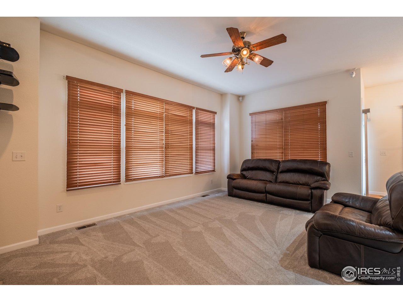 4313 29th Street Road Greeley, CO 80634 - Photo 6 of 31 Sun-splashed living room with wall-to-wall windows, brand-new carpet, and freshly touched-up paint for a crisp feel.
