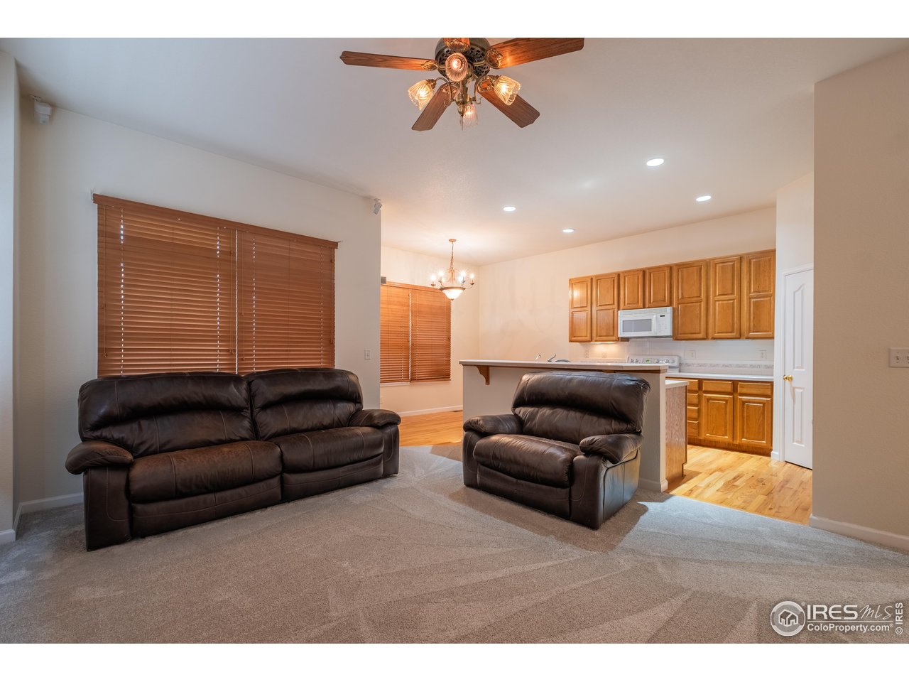 4313 29th Street Road Greeley, CO 80634 - Photo 8 of 31 Spacious living room with brand-new carpet, wide windows with wood blinds, and an easy, open flow to the kitchen-fresh touched-up paint provides a clean, neutral backdrop.