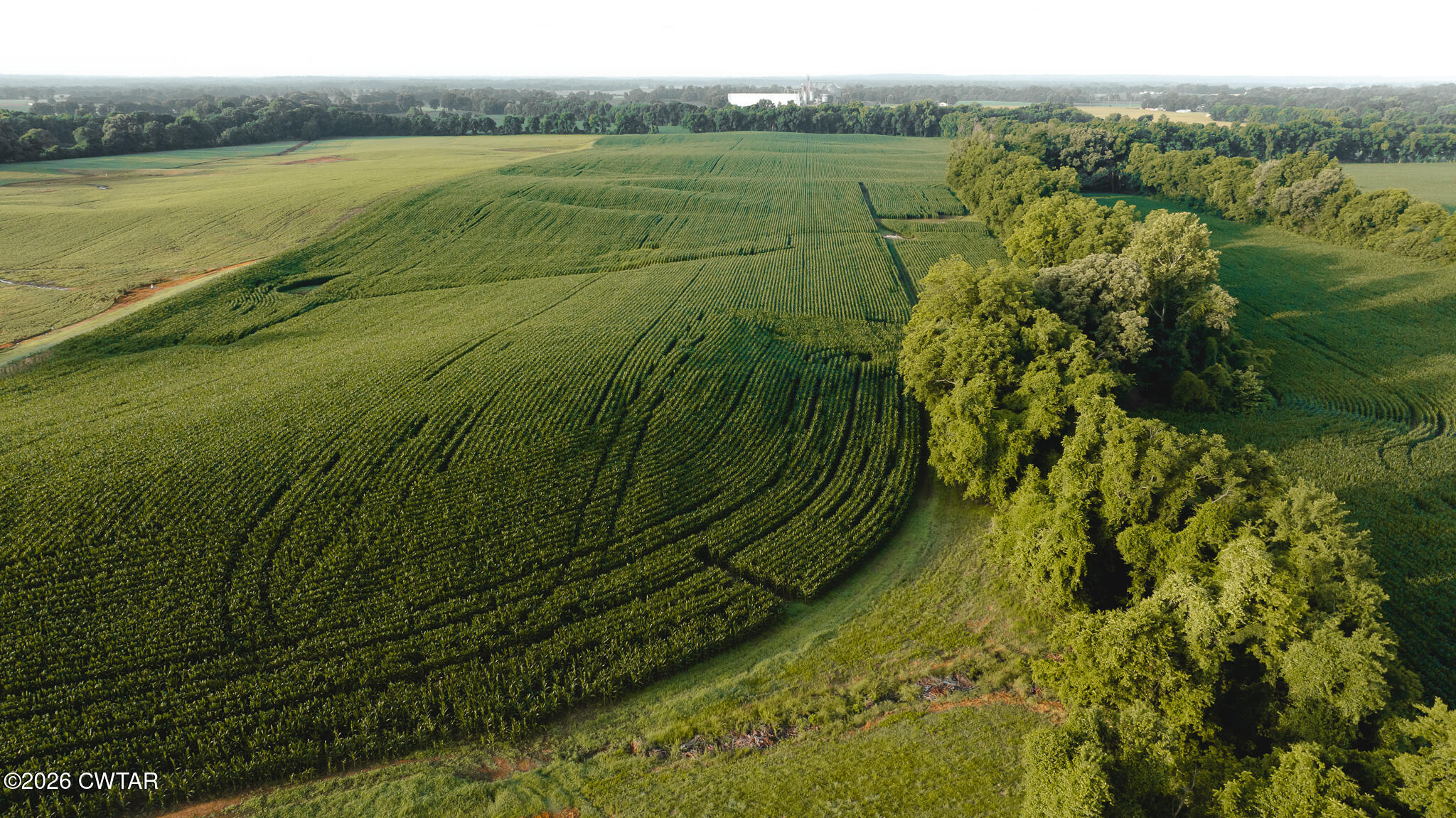 0 Jack Tate Road Obion, TN 38240 - Photo 16 of 23 DJI_20260531140222_0075_D