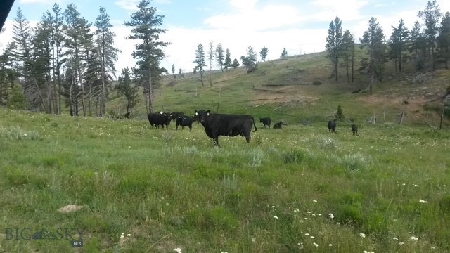 659 Deadmans Canyon Road Reed Point, MT 59069 - Photo 4 of 96 Gallery Image 4