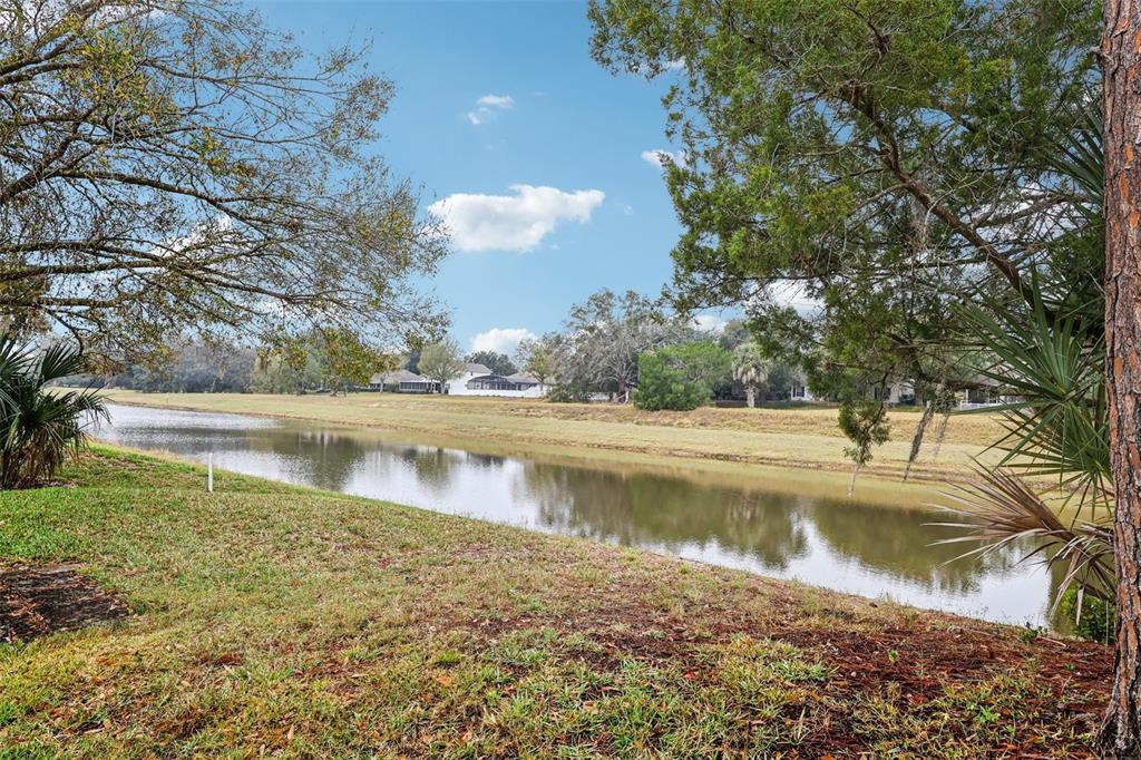 239 Juniper Way Tavares, FL 32778 - Photo 29 of 45