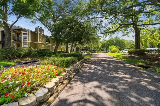 a view of a yard with plants and large trees
