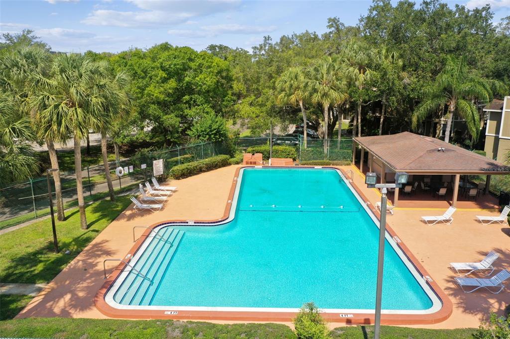 4208 Winding Moss Trail, Unit 102 Tampa, FL 33613 - Photo 23 of 27 a view of a swimming pool with a patio and a yard