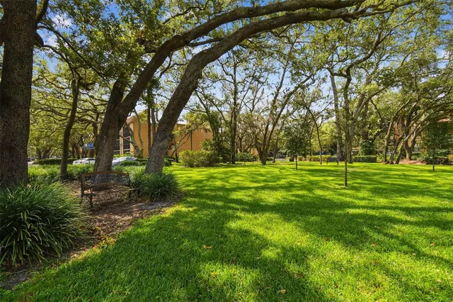 a view of grassy field with benches