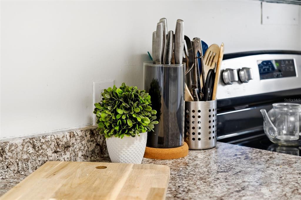 1215 Nicholson Street Clearwater, FL 33755 - Photo 16 of 25