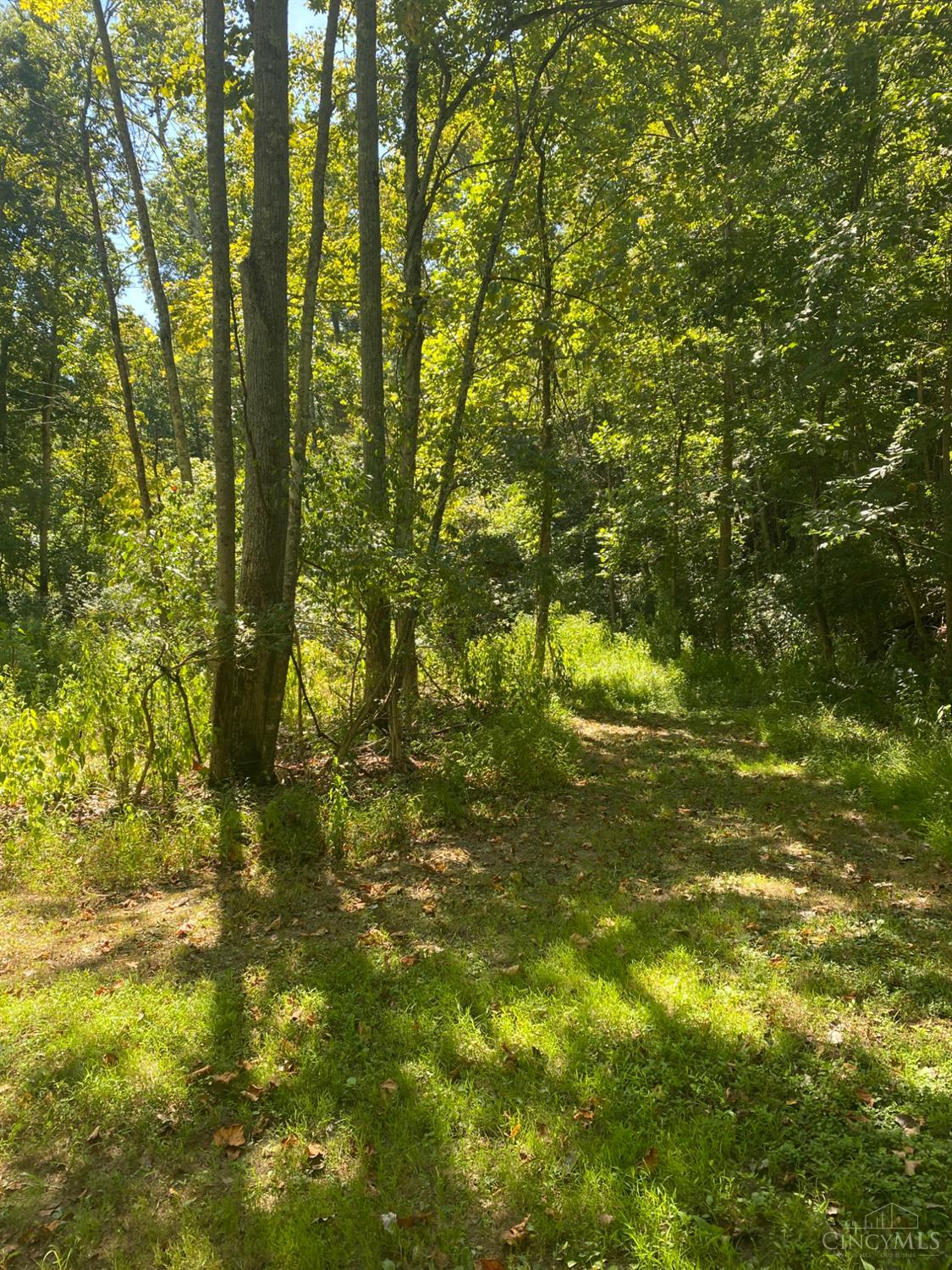 0 Sugar Camp Road Batavia, OH 45103 - Photo 8 of 8