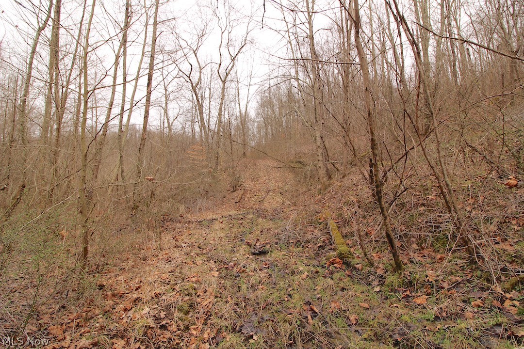 Ramage Road Caldwell, OH 43724 - Photo 15 of 34 Gallery Image 15