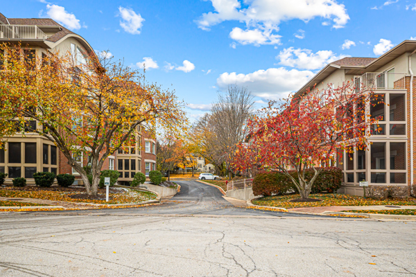 10 Ford Street, Unit 103 Geneva, IL 60134 - Photo 2 of 7 a view of city with tall buildings