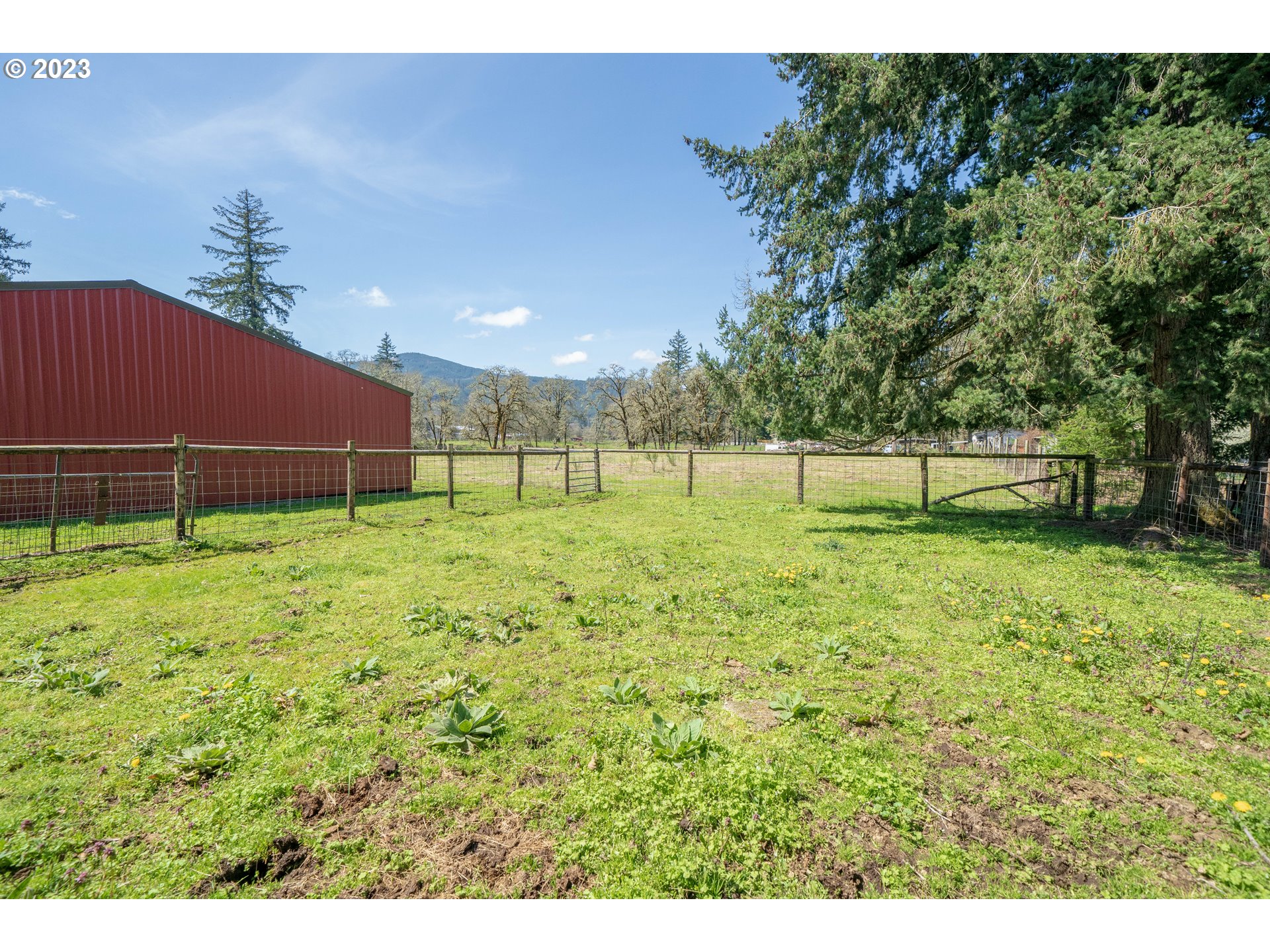 40766 North Mowitch Lyons, OR 97358 - Photo 24 of 31 a view of a green field