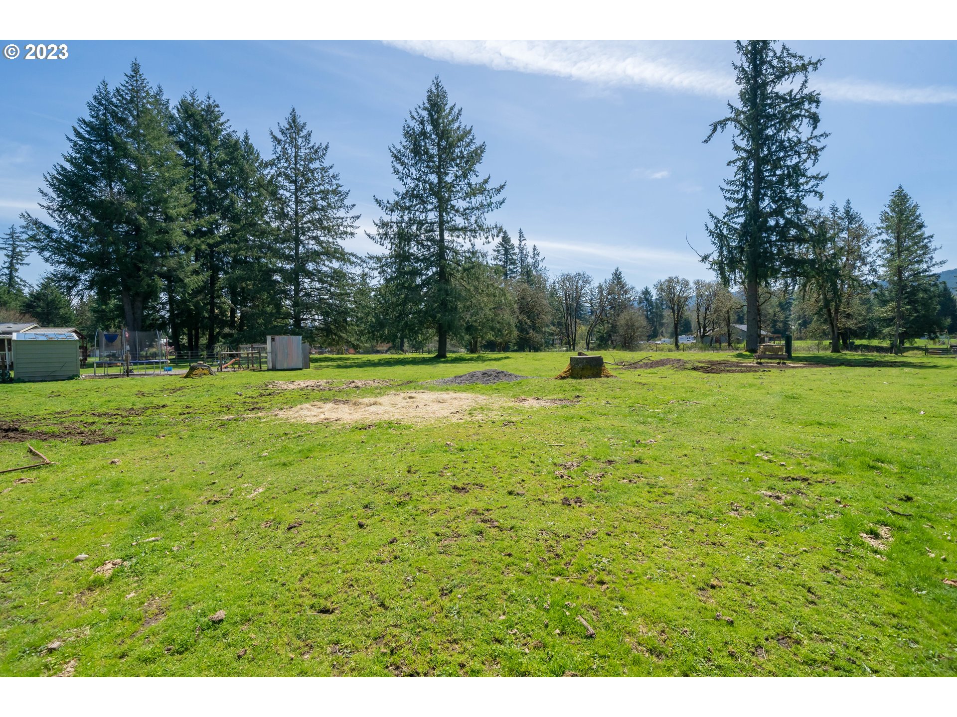 40766 North Mowitch Lyons, OR 97358 - Photo 25 of 31 a view of a park with large trees