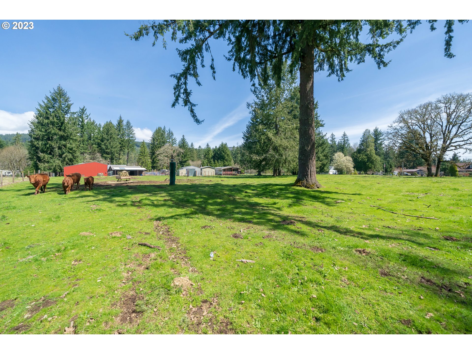 40766 North Mowitch Lyons, OR 97358 - Photo 26 of 31 a view of a golf course with a play ground
