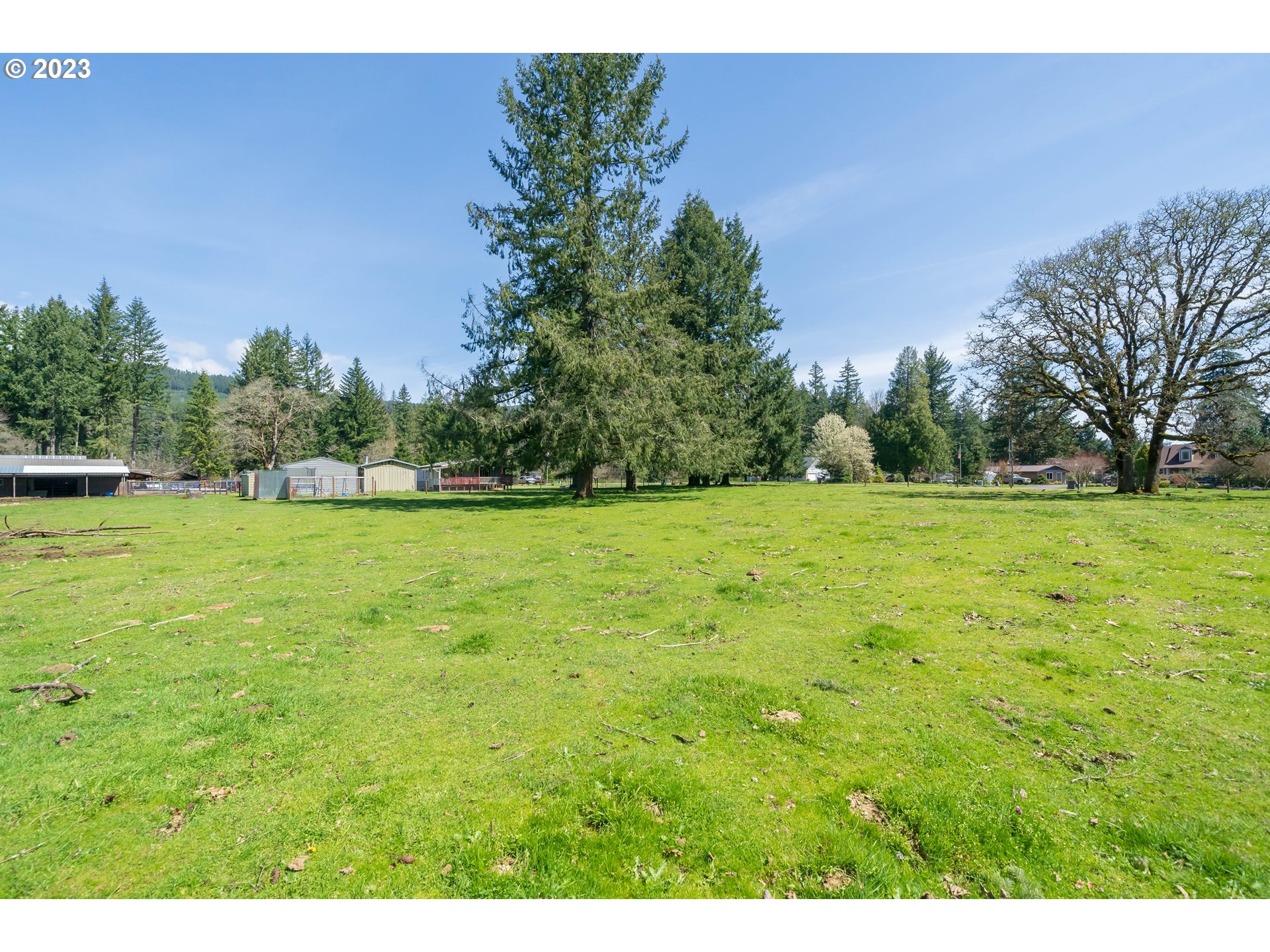 40766 North Mowitch Lyons, OR 97358 - Photo 27 of 31 a view of a grassy field with trees in the background
