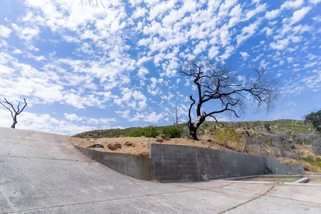 a view of a backyard