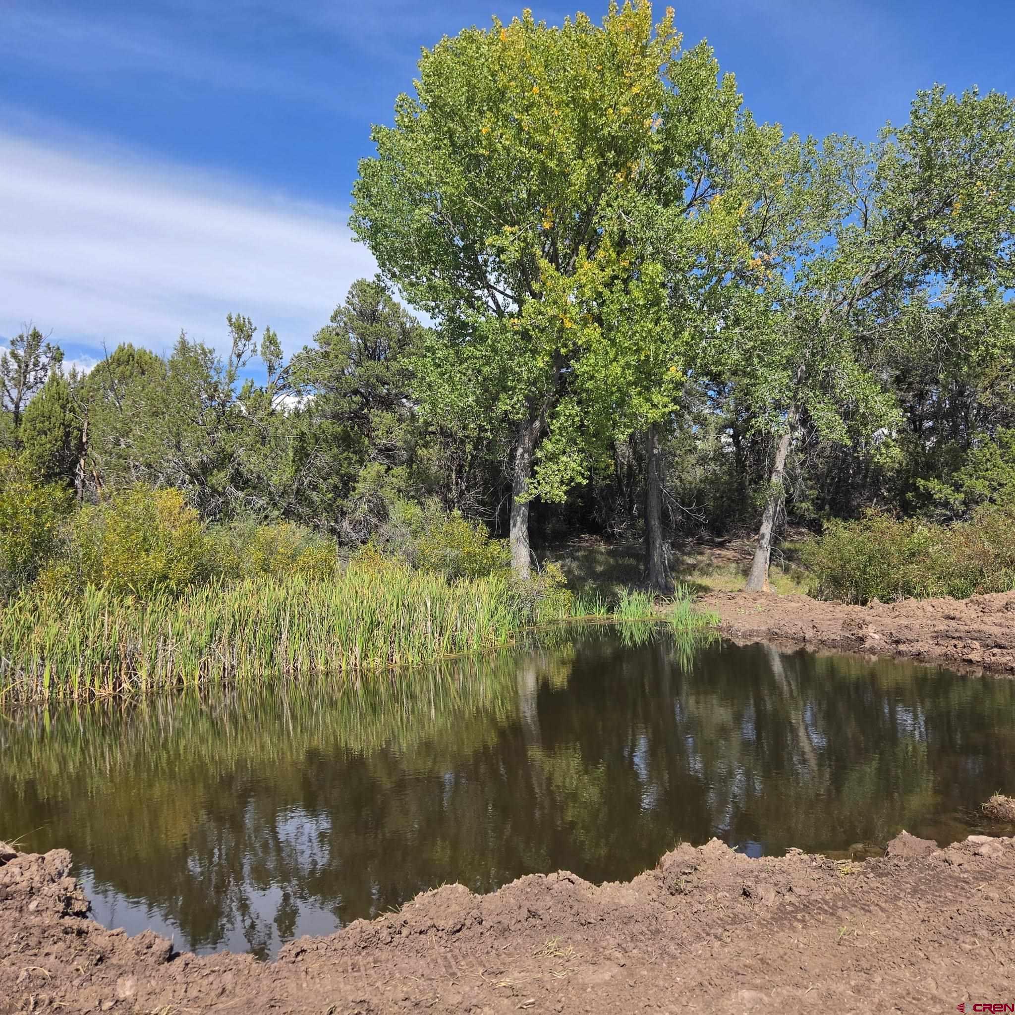 Tbd Cactus Park Road Cedaredge, CO 81413 - Photo 13 of 18 Gallery Image 13