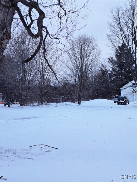 24406 Back Street Rutland, NY 13638 - Photo 5 of 8