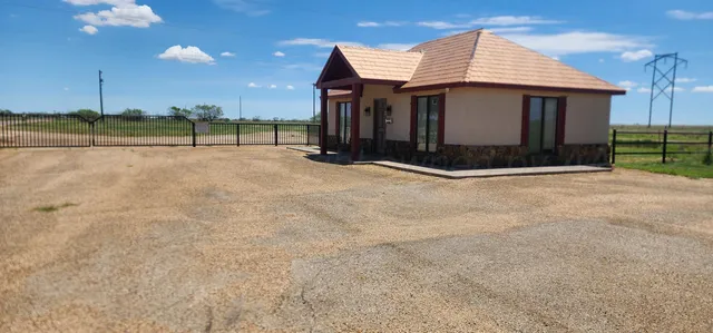 a view of a lush green forest