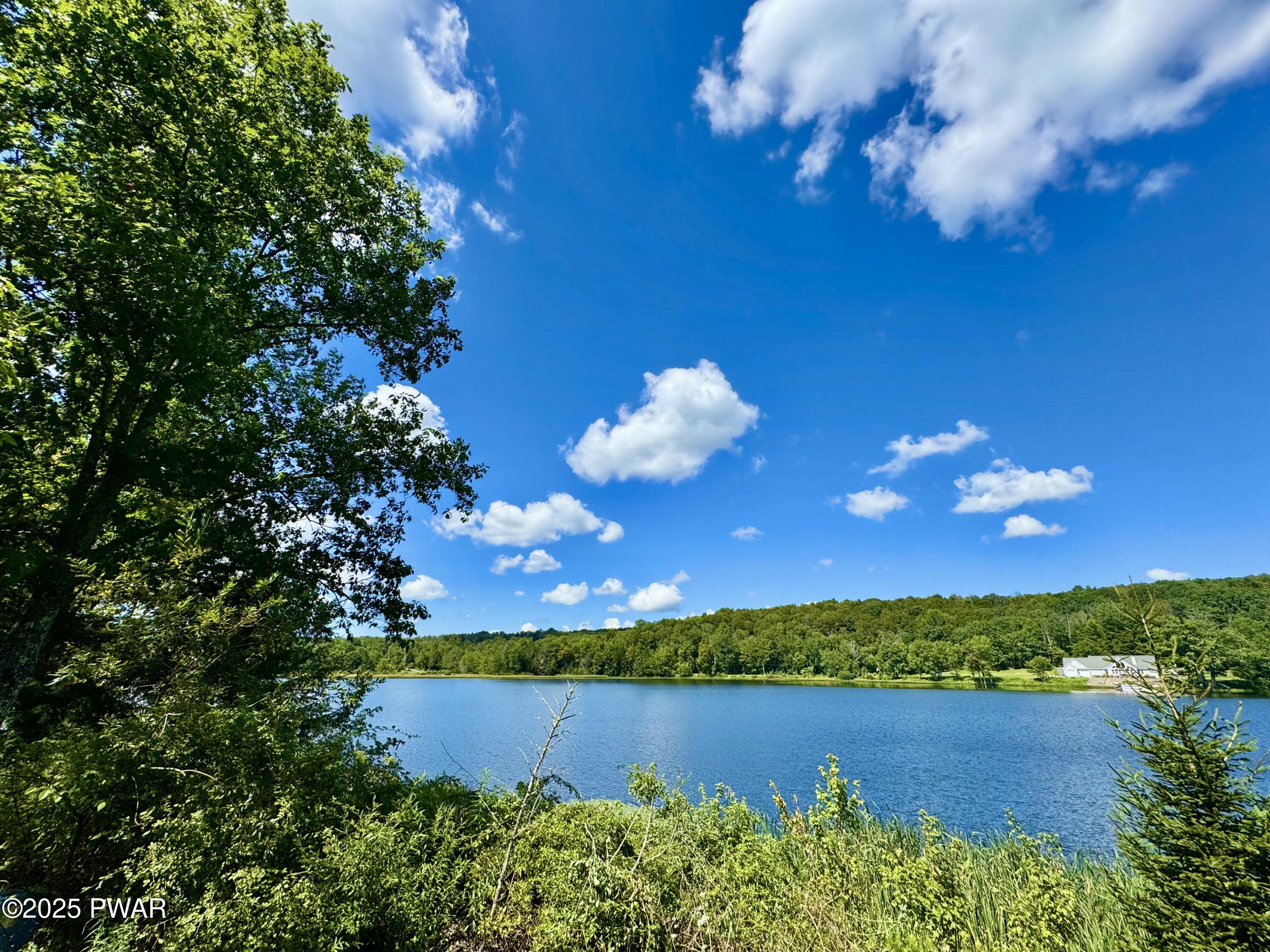 76 South Shore Road Pleasant Mount, PA 18453 - Photo 8 of 30 Gorgeous Bigelow lake
