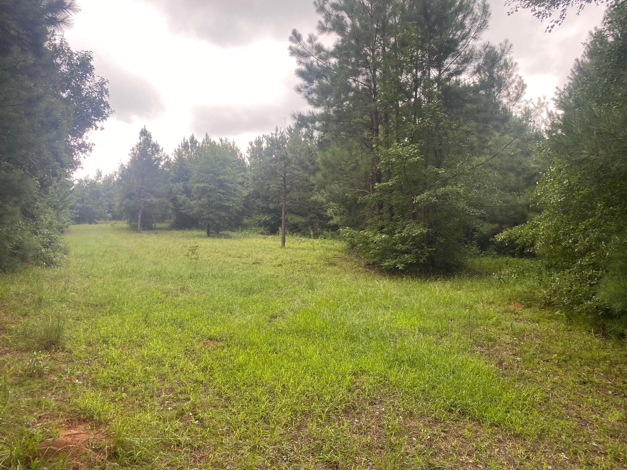 Lot 4 Dozier Road Norwood, GA 30821 - Photo 1 of 7 IMG_9962