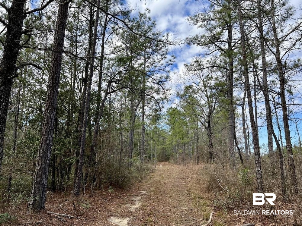 0 Country Road Deer Park, AL 36529 - Photo 40 of 46