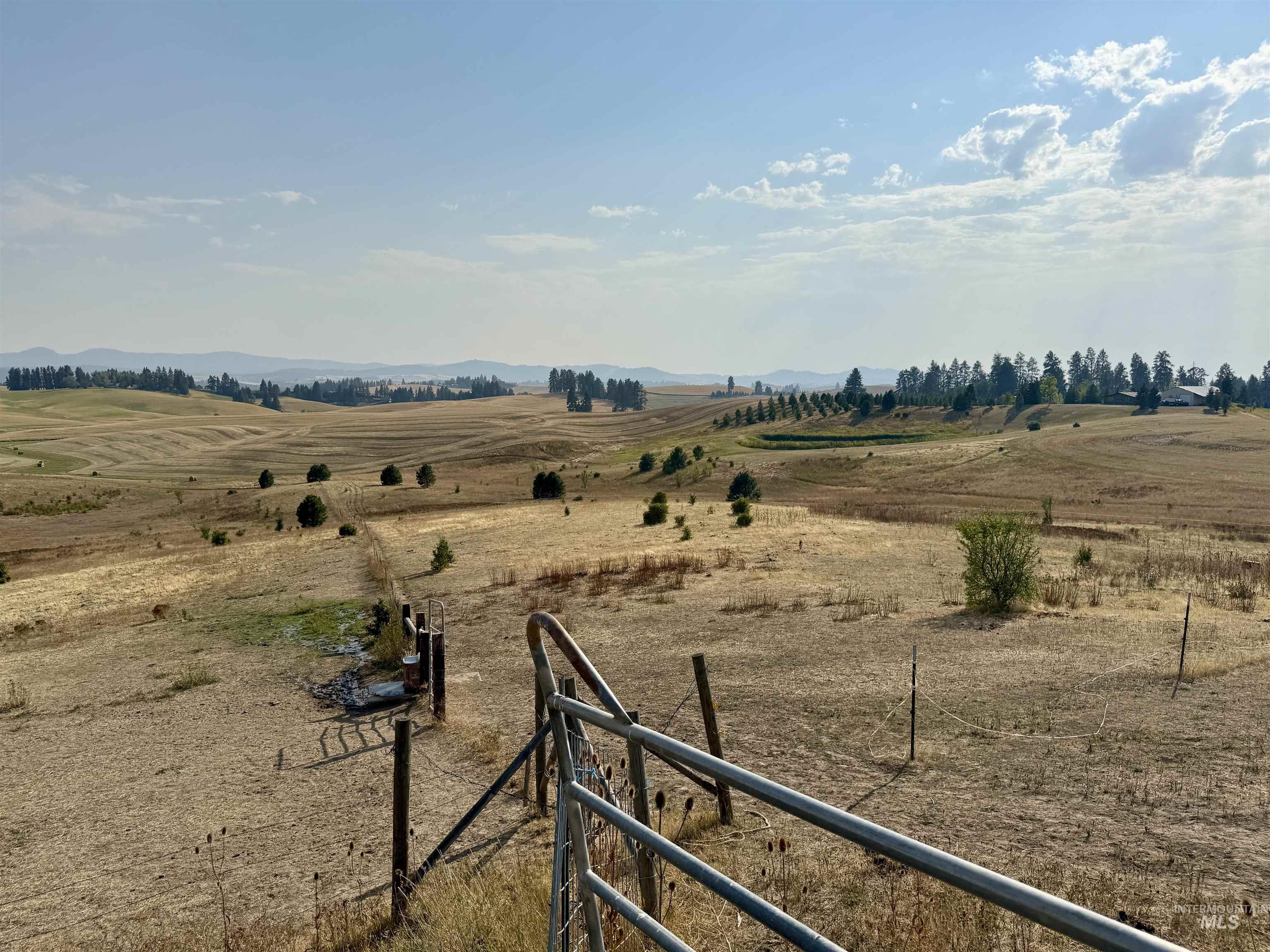 Tbd East Freeze Road Potlatch, ID 83855 - Photo 12 of 20