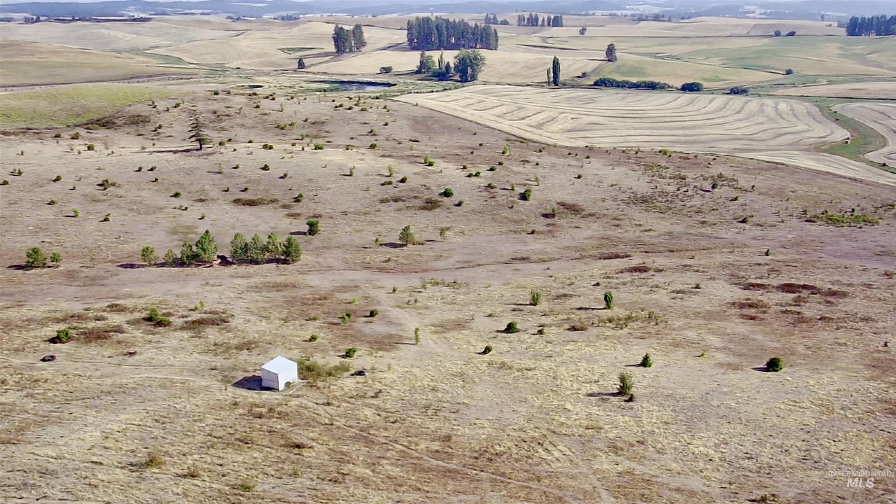 Tbd East Freeze Road Potlatch, ID 83855 - Photo 7 of 20