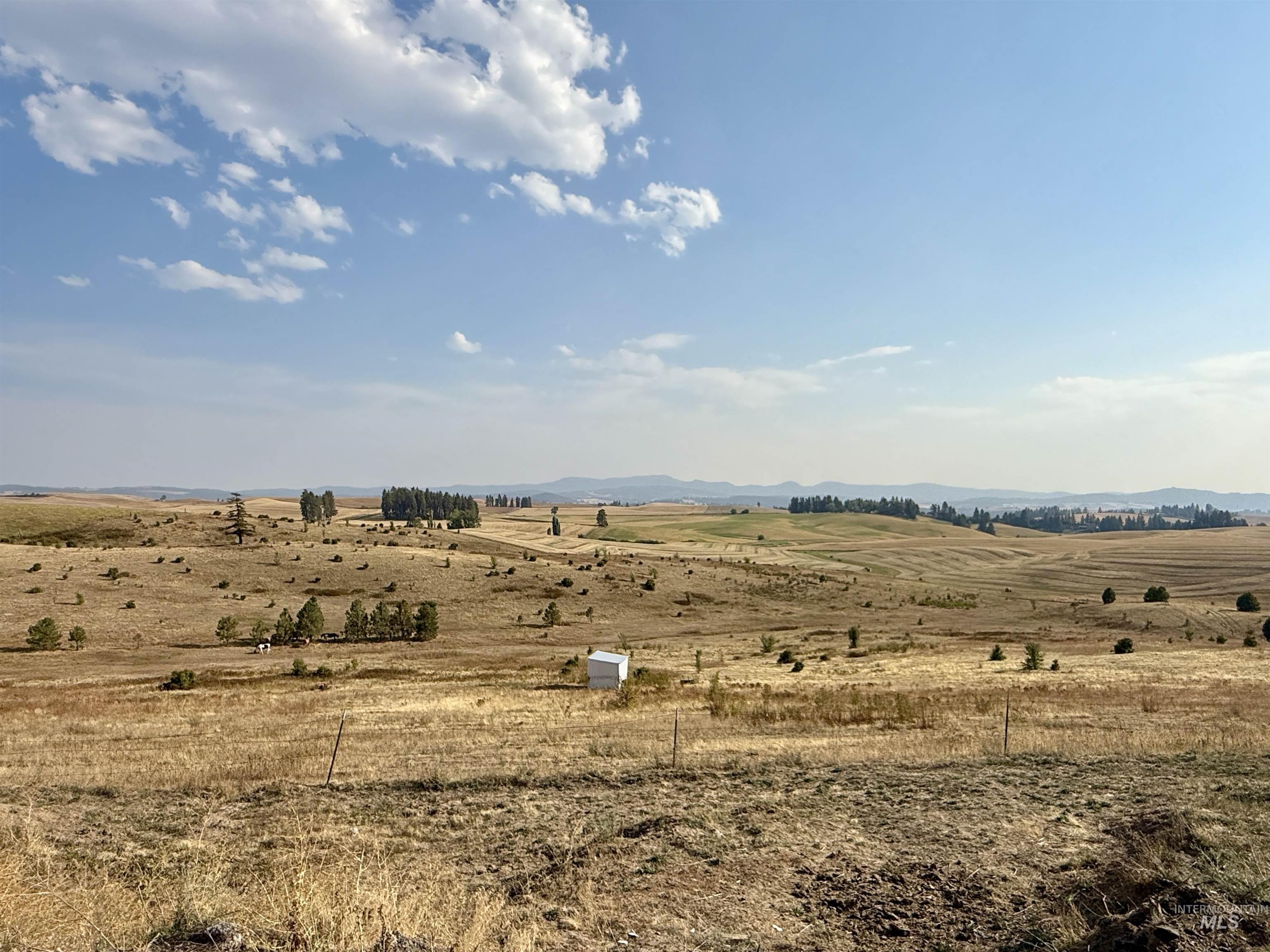 Tbd East Freeze Road Potlatch, ID 83855 - Photo 9 of 20