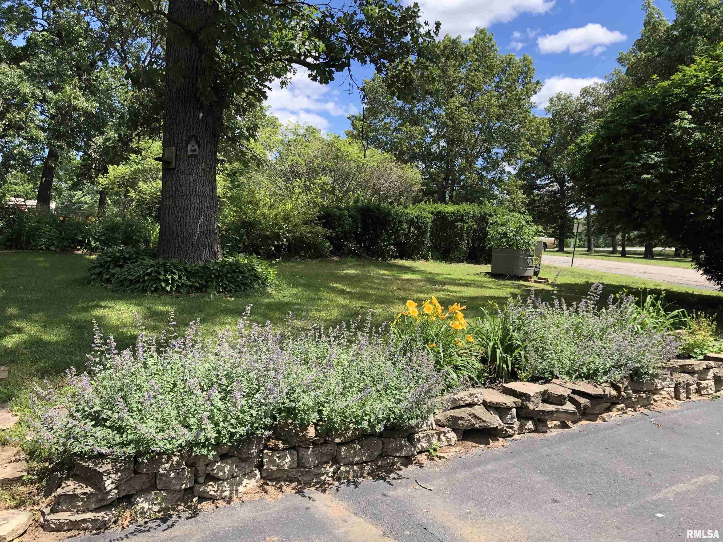 1104 County Road 960 Bath, IL 62617 - Photo 6 of 41