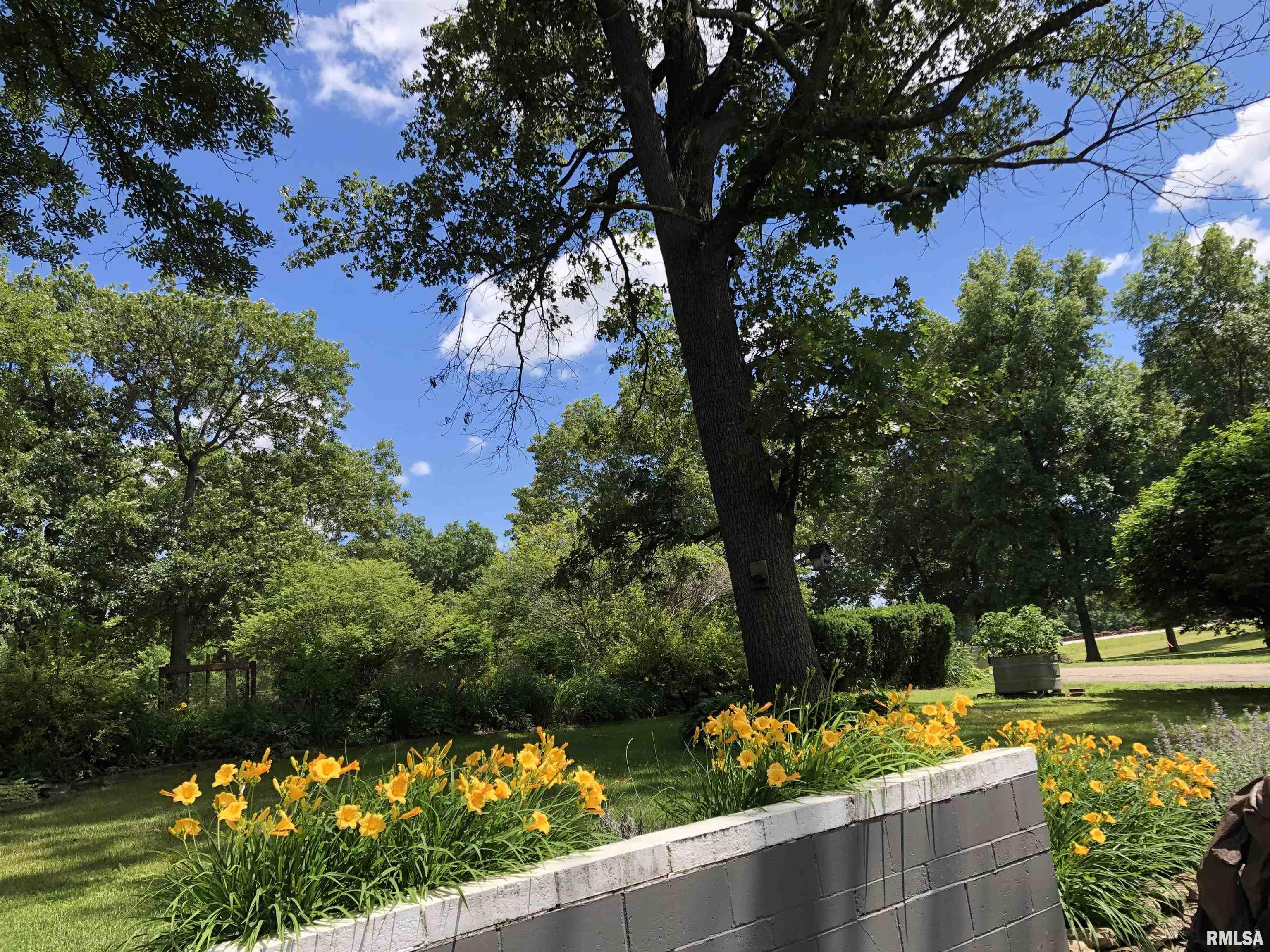 1104 County Road 960 Bath, IL 62617 - Photo 7 of 41