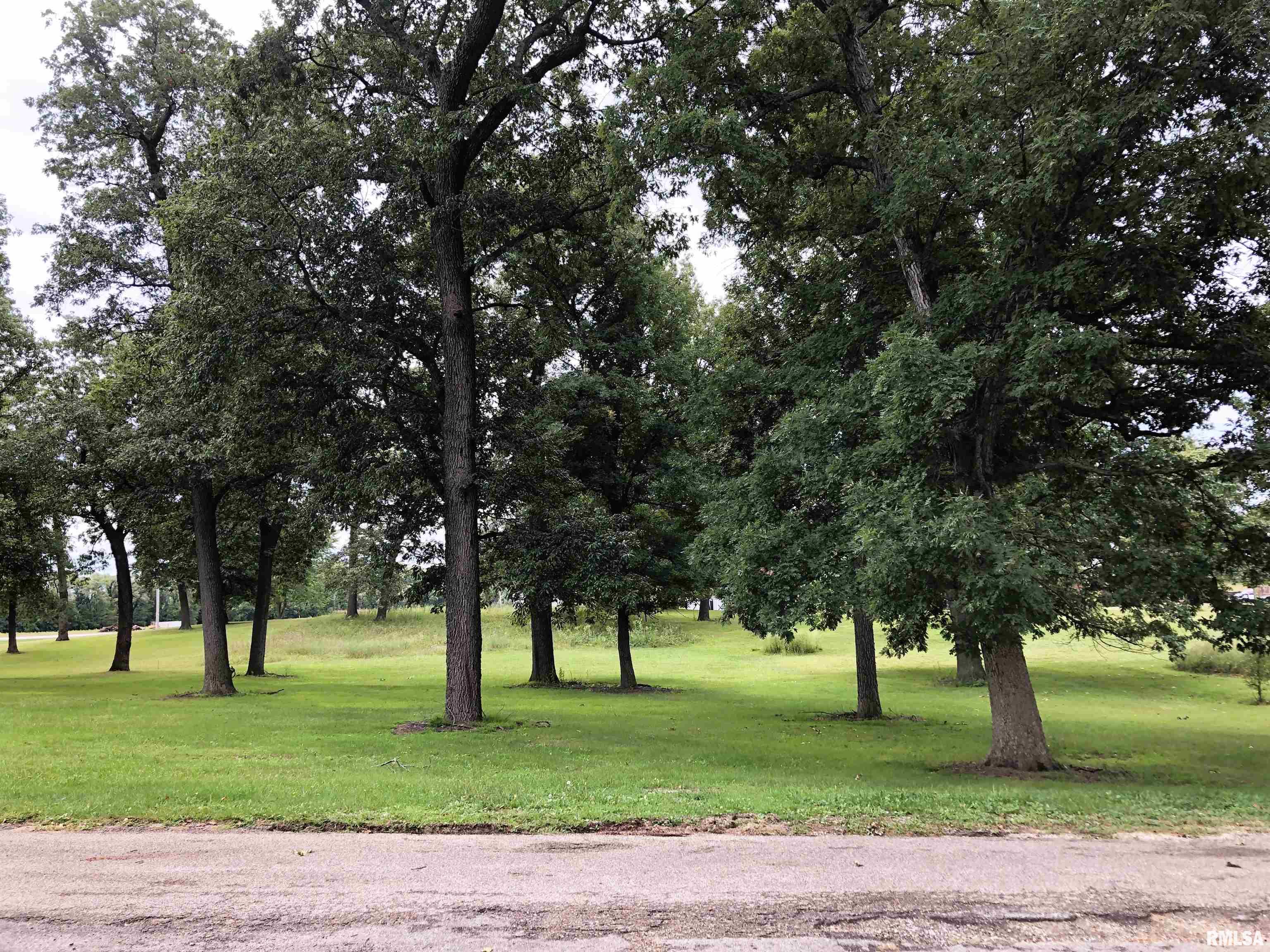 1104 County Road 960 Bath, IL 62617 - Photo 8 of 41