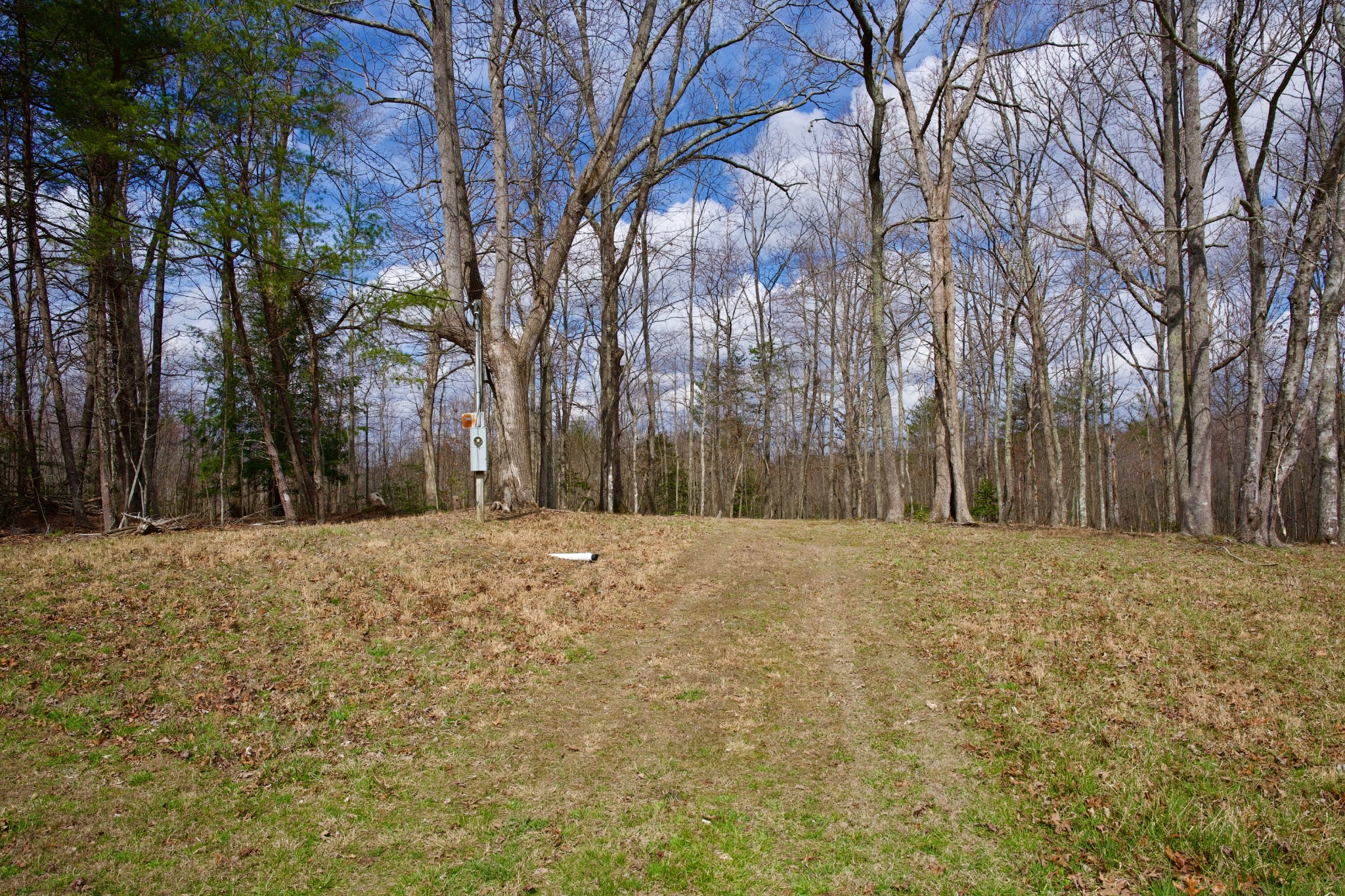 0 Daus Mountain Road Palmer, TN 37365 - Photo 11 of 25 a house with trees covered with tall trees