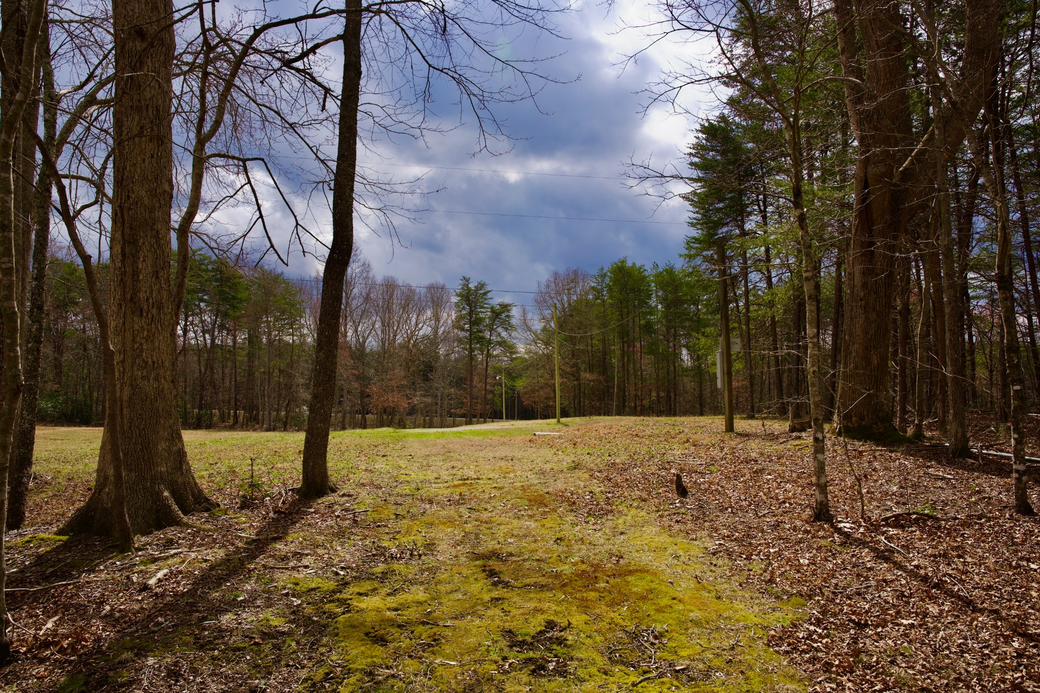 0 Daus Mountain Road Palmer, TN 37365 - Photo 20 of 25 a backyard of a house with lots of green space