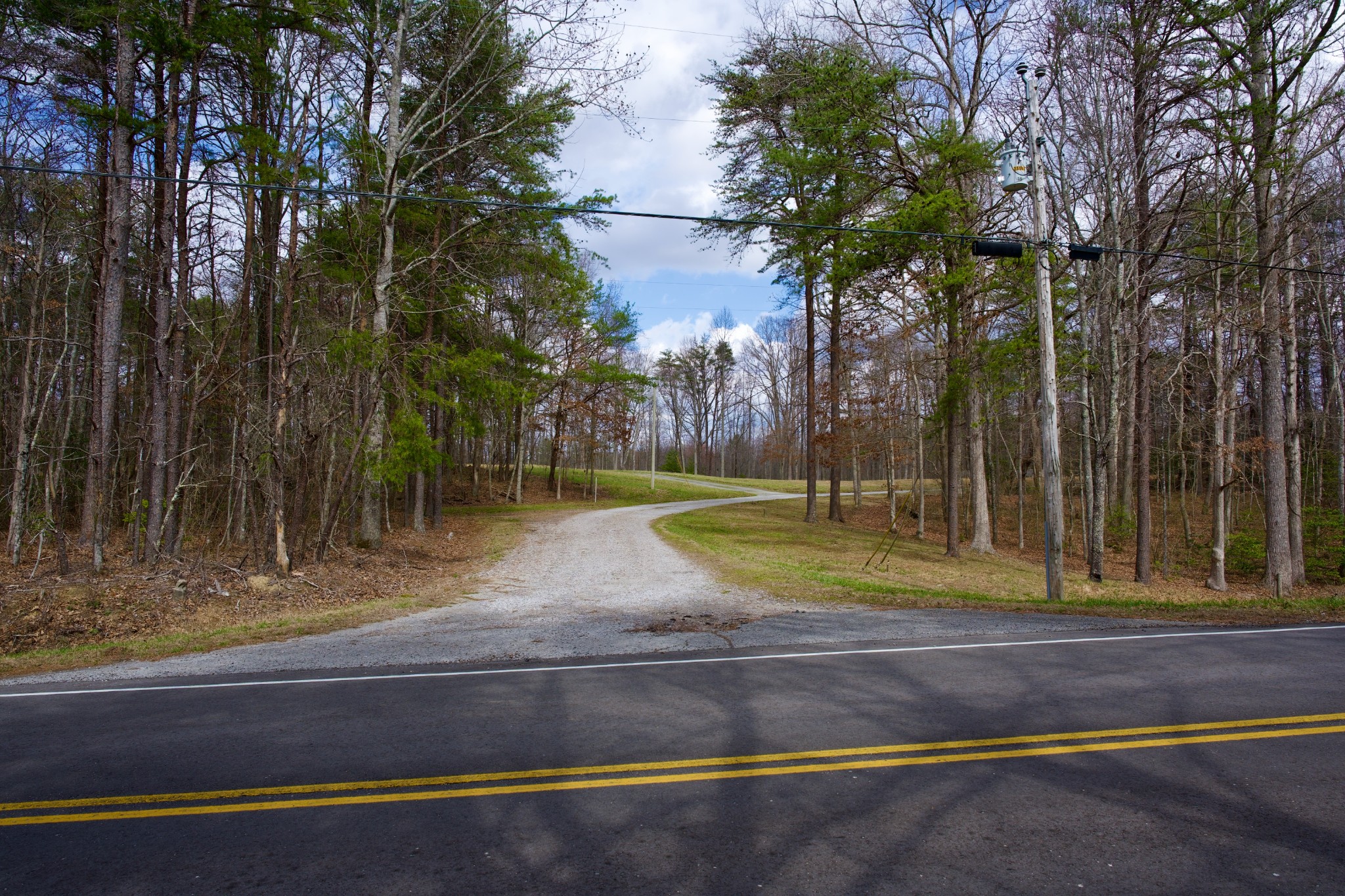 0 Daus Mountain Road Palmer, TN 37365 - Photo 3 of 25 a view of a yard with large trees