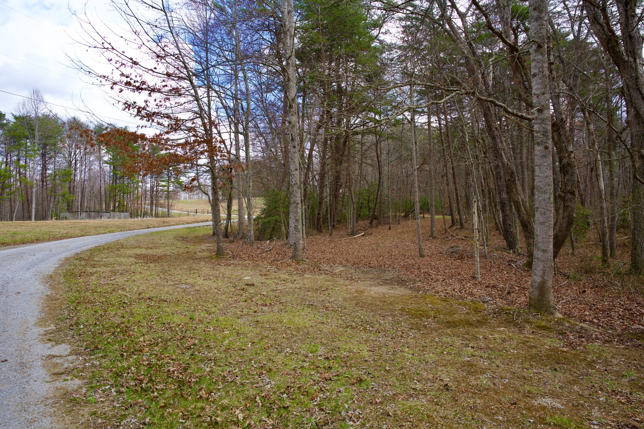 0 Daus Mountain Road Palmer, TN 37365 - Photo 6 of 25 a view of outdoor space with trees