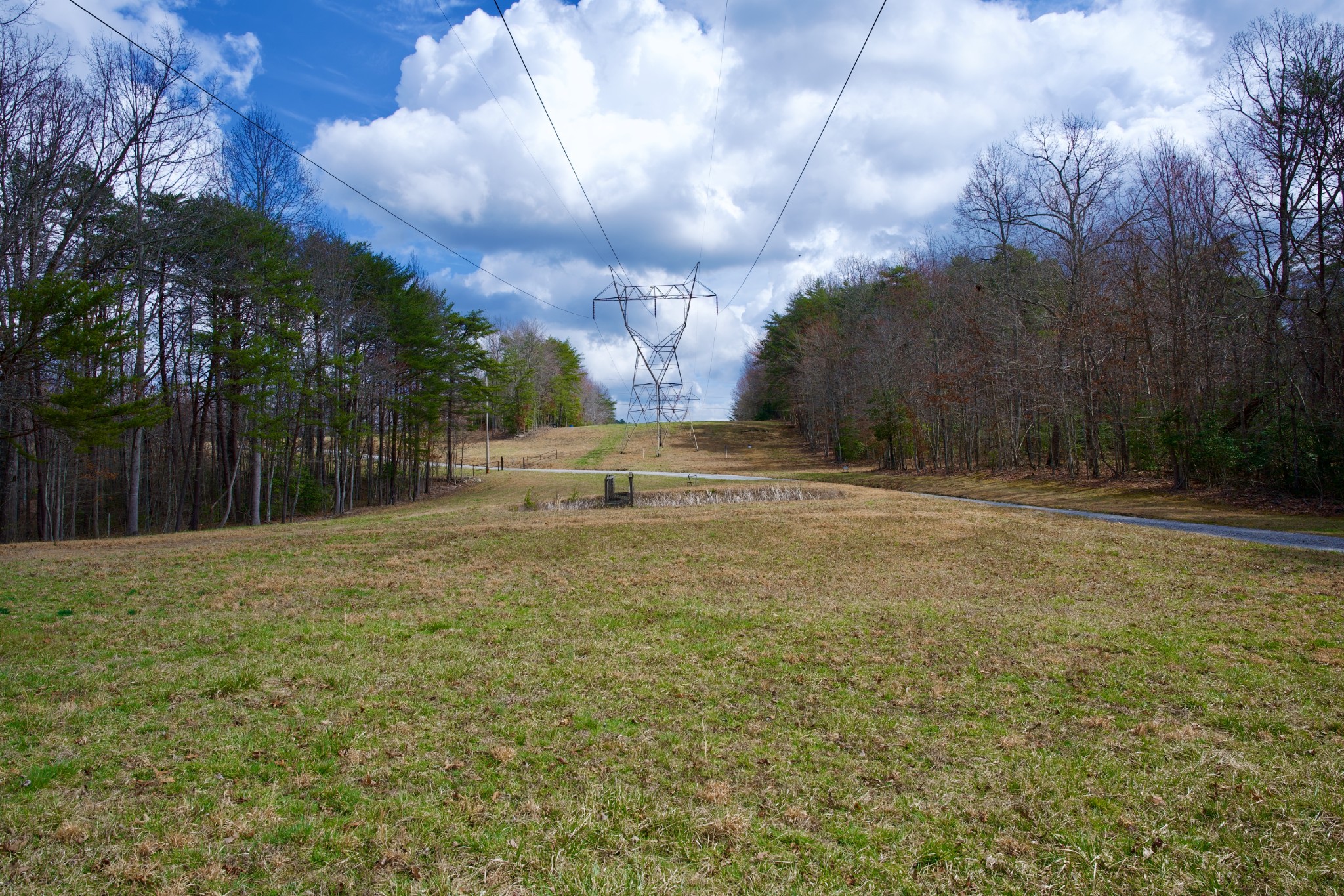 0 Daus Mountain Road Palmer, TN 37365 - Photo 9 of 25 a view of backyard with green space