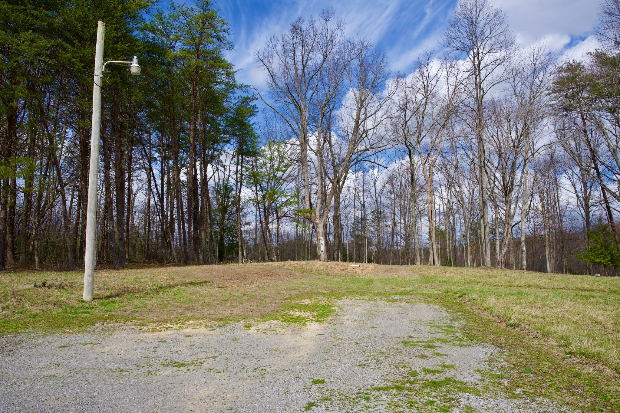 0 Daus Mountain Road Palmer, TN 37365 - Photo 10 of 25 a house with trees in front of it
