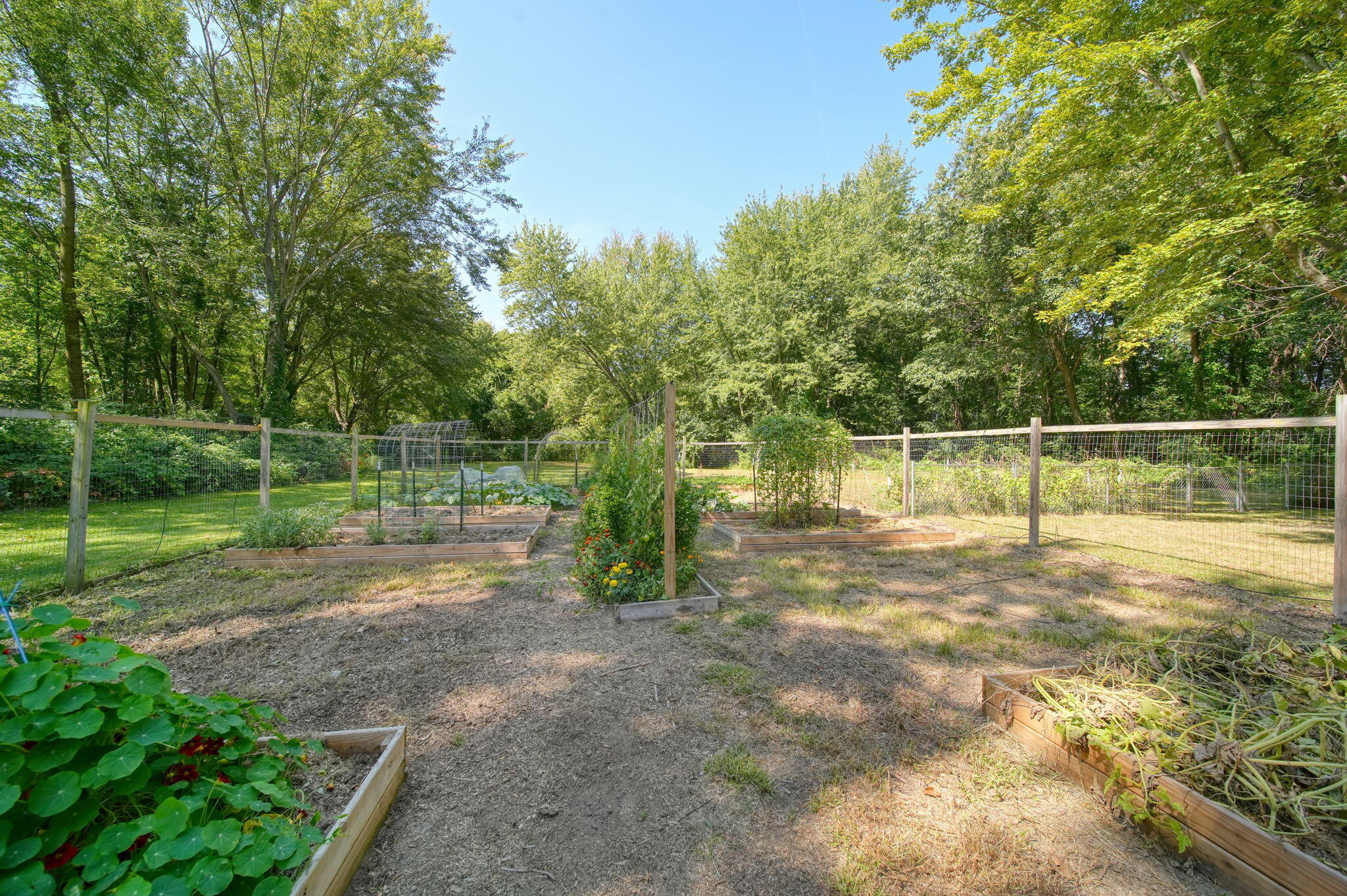 44038 Burtrig Road Belleville, MI 48111 - Photo 55 of 76 61-web-or-mls-DSC06169_HDR