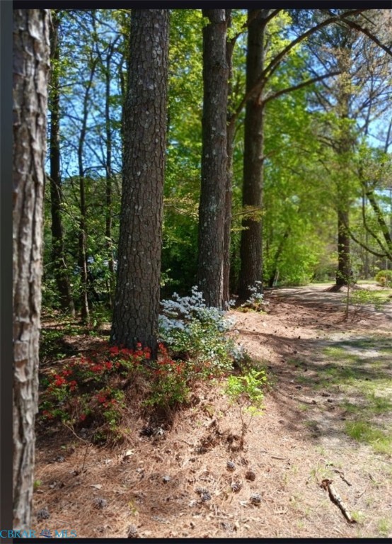 118 Mill Point Road Hudgins, VA 23076 - Photo 35 of 43