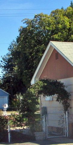 415 North Bowdish Road Spokane Valley, WA 99206 - Photo 6 of 7 Gallery Image 6