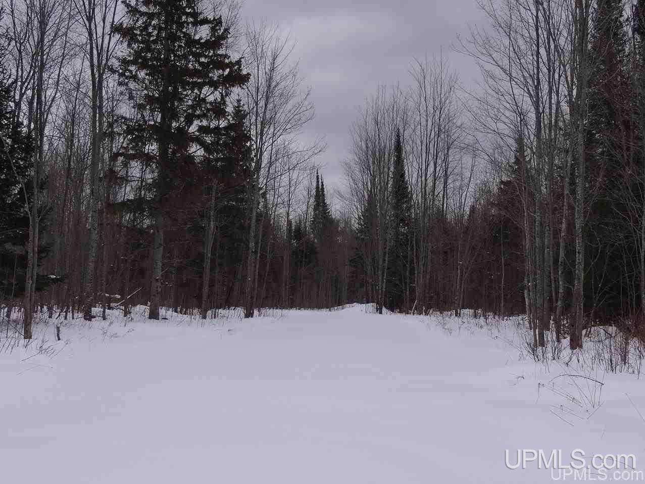 Tbd Old Rink Road Toivola, MI 49965 - Photo 21 of 31 Gallery Image 21