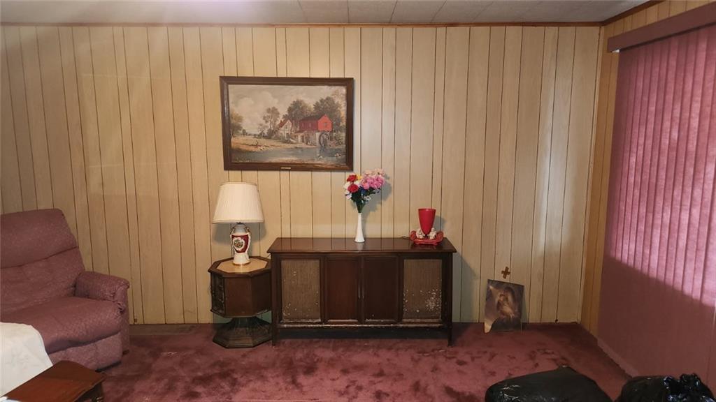 119 Frederick Street Pittsburgh, PA 15210 - Photo 4 of 11 Gallery Image 4