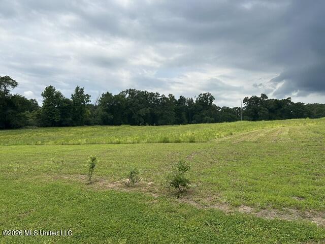 2096 Swilley Road Wesson, MS 39191 - Photo 61 of 86 IMG_4322