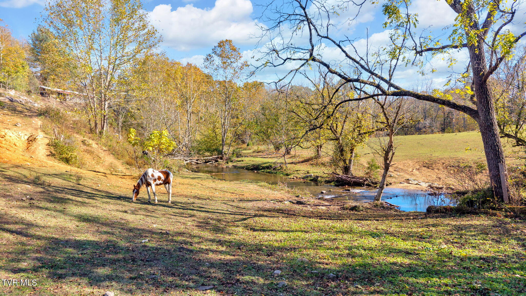 3176 Highway 421 Bristol, TN 37620 - Photo 21 of 61 35-web-or-mls-DJI_20251024153447_0622_D