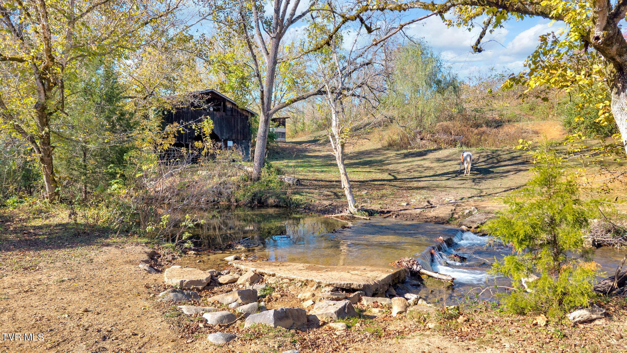 3176 Highway 421 Bristol, TN 37620 - Photo 23 of 61 12-web-or-mls-DJI_20251024153539_0628_D